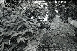 27_le_scanff 27_le_scanff