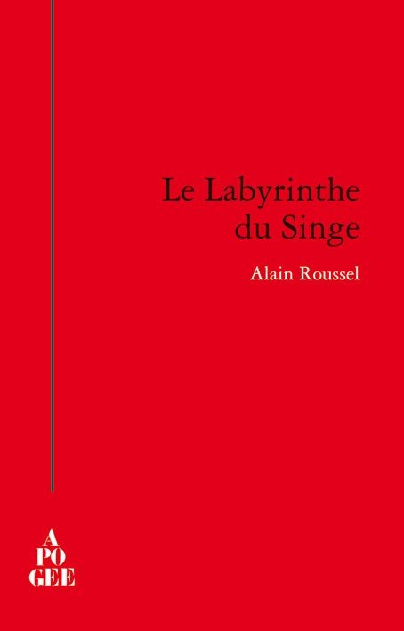 Labyrinthe-singe_couvweb Labyrinthe-singe_couvweb